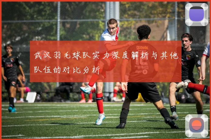 武汉羽毛球队实力深度解析与其他队伍的对比分析